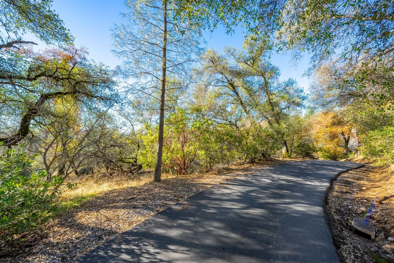 Detail Gallery Image 3 of 26 For 0 Leaning Tree, Placerville,  CA 95667 - – Beds | – Baths