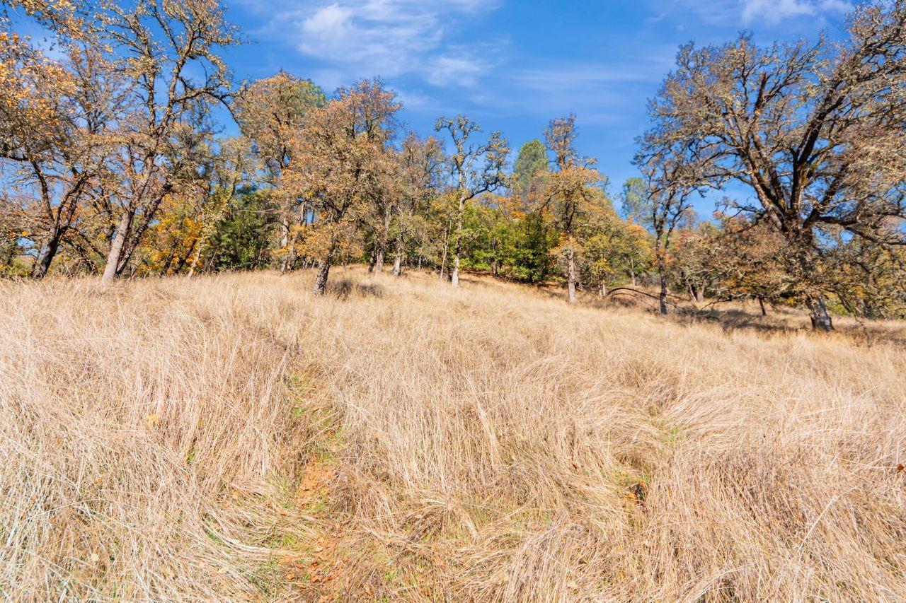 Detail Gallery Image 3 of 14 For 16297 Dog Bar Rd, Grass Valley,  CA 95949 - – Beds | – Baths