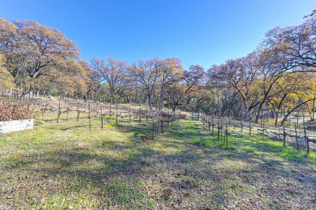 Detail Gallery Image 91 of 92 For 3600 Kimo Way, Auburn,  CA 95602 - 3 Beds | 2/1 Baths