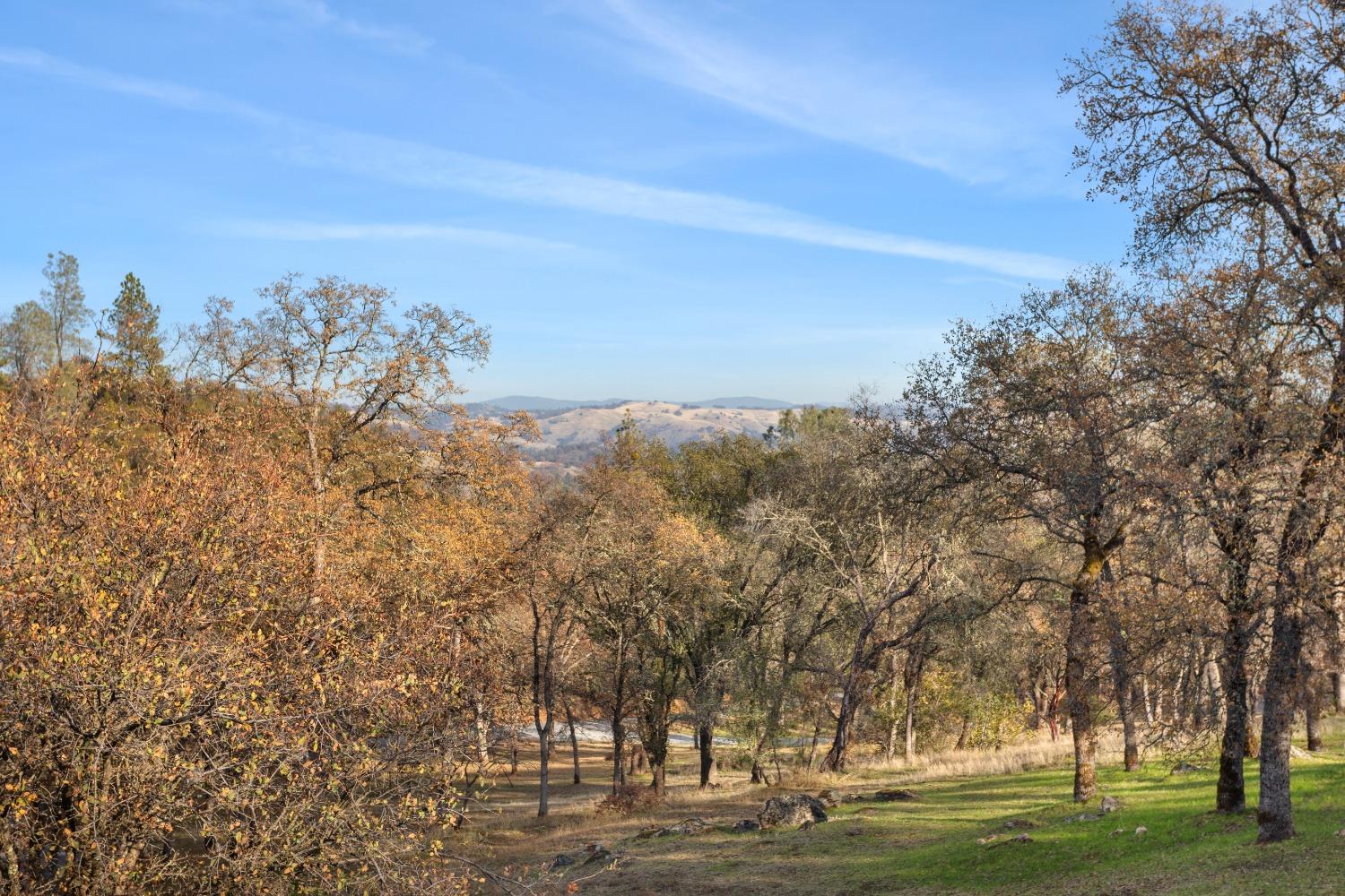 Pedro Hill Road, Pilot Hill, California image 8