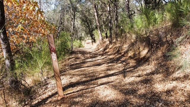 Detail Gallery Image 53 of 78 For 3154 Sweetwater Trail, Cool,  CA 95634 - 3 Beds | 2/1 Baths