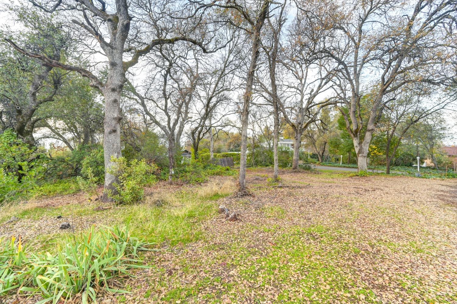 Lot 004 Colonial Drive, Auburn, California image 6