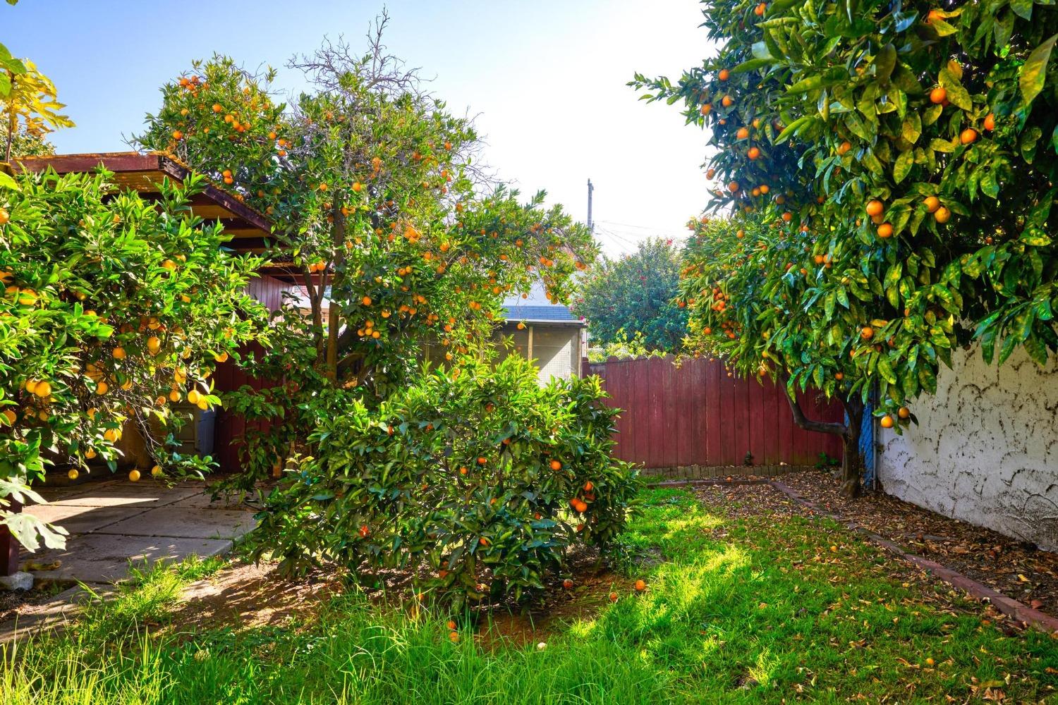 Detail Gallery Image 29 of 36 For 245 W Broadmoor Blvd, San Leandro,  CA 94577 - 3 Beds | 1/1 Baths