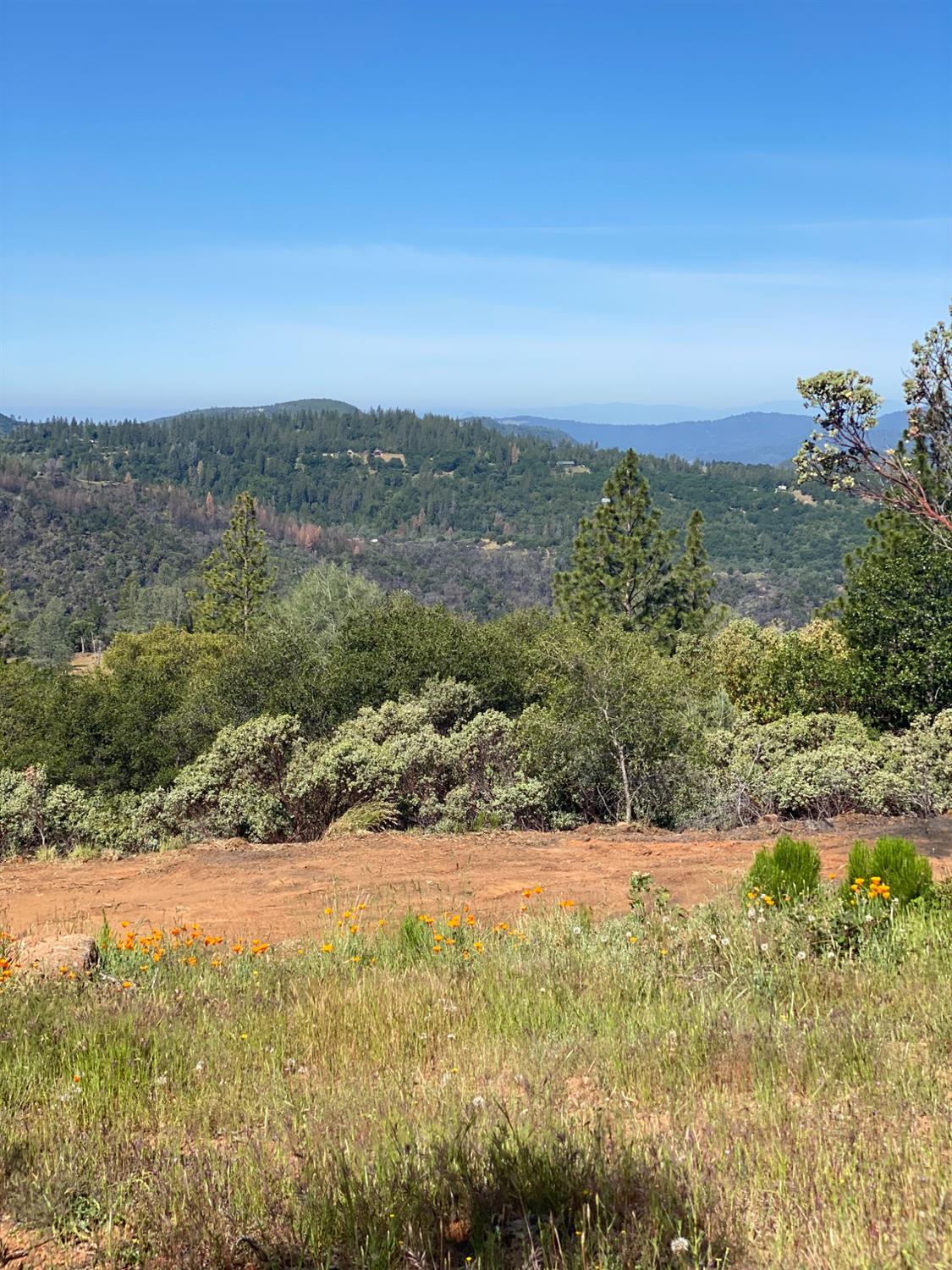 Detail Gallery Image 41 of 43 For 10742 Cedarsong Rd, Nevada City,  CA 95959 - 2 Beds | 1/1 Baths