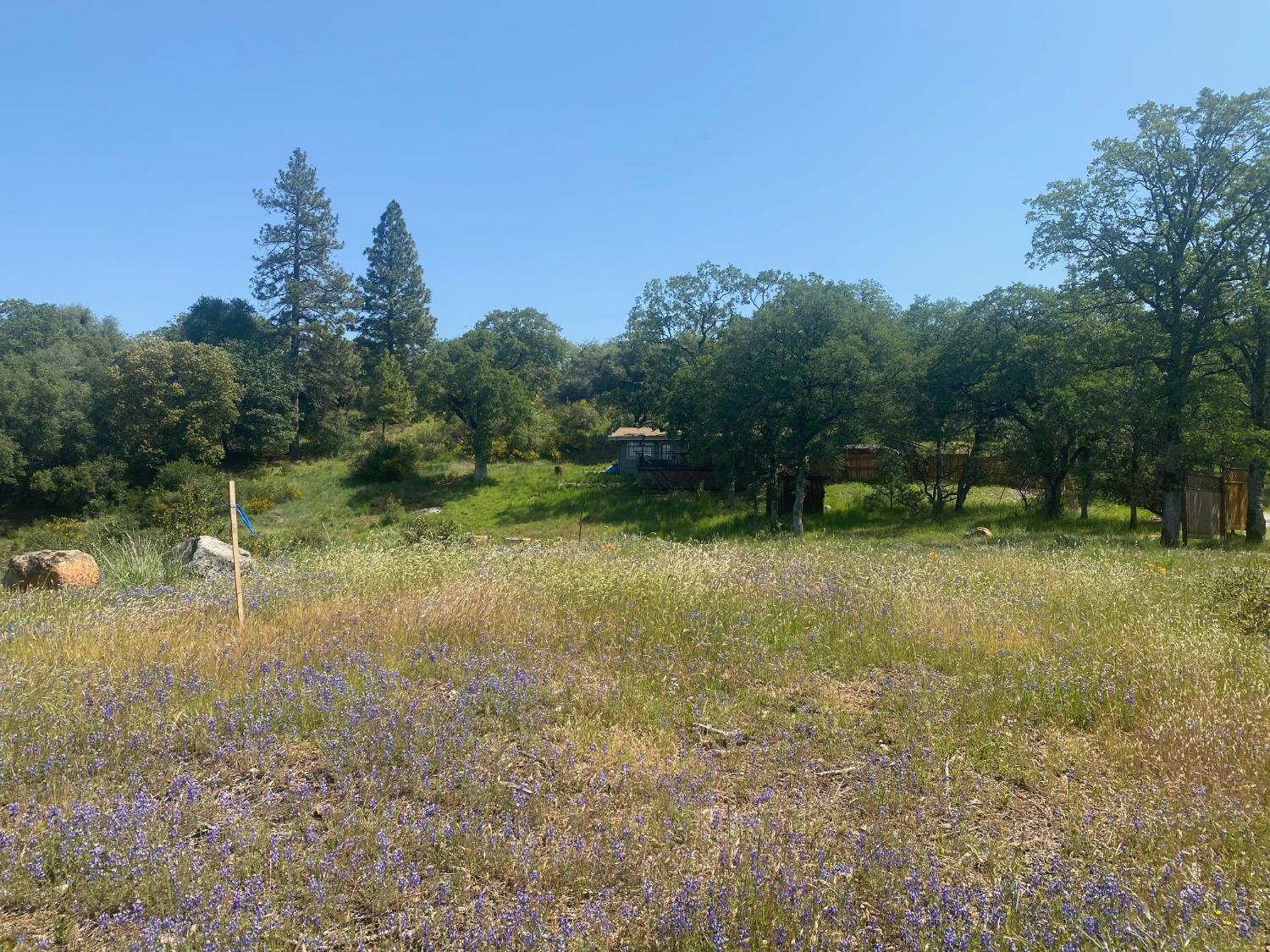 Detail Gallery Image 36 of 43 For 10742 Cedarsong Rd, Nevada City,  CA 95959 - 2 Beds | 1/1 Baths