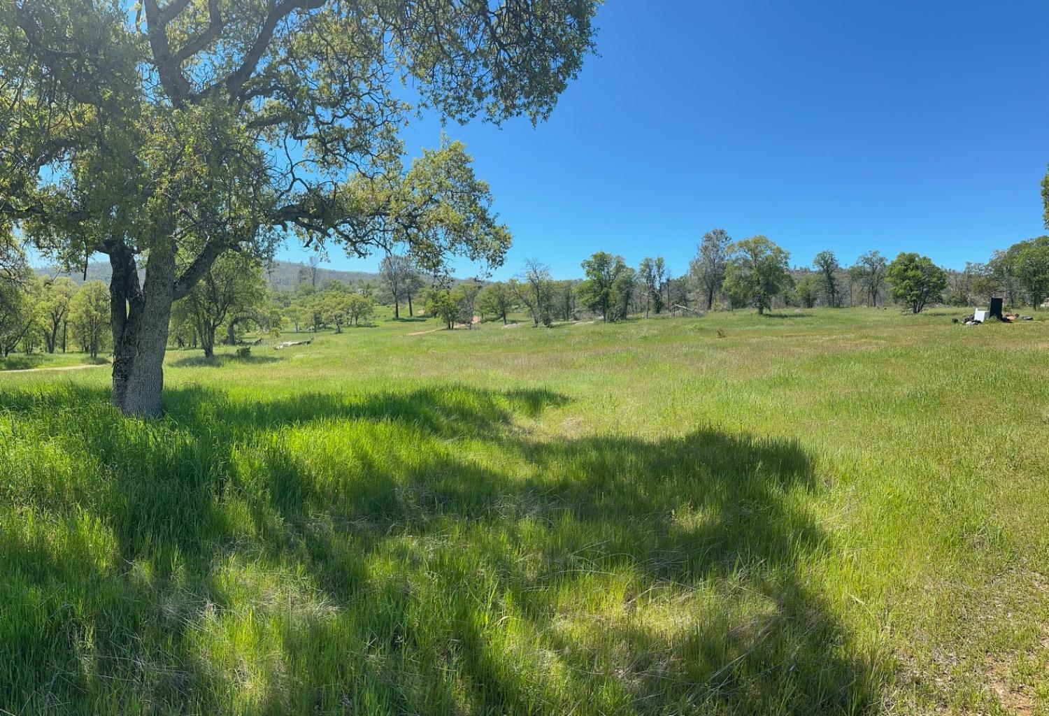 Detail Gallery Image 4 of 9 For 0 Bear Valley Rd, Mariposa,  CA 95338 - – Beds | – Baths