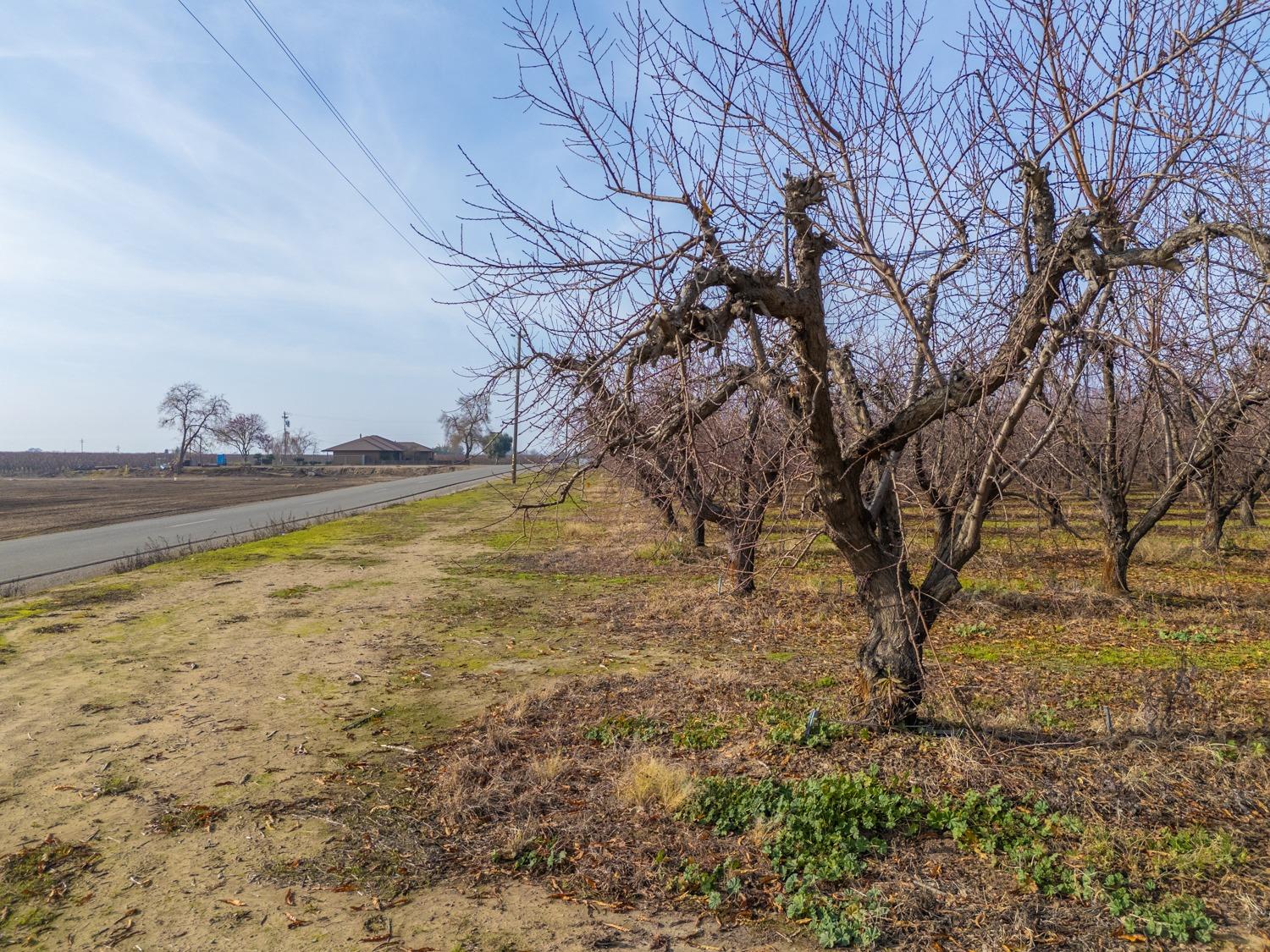 Obanion Road, Yuba City, California image 19