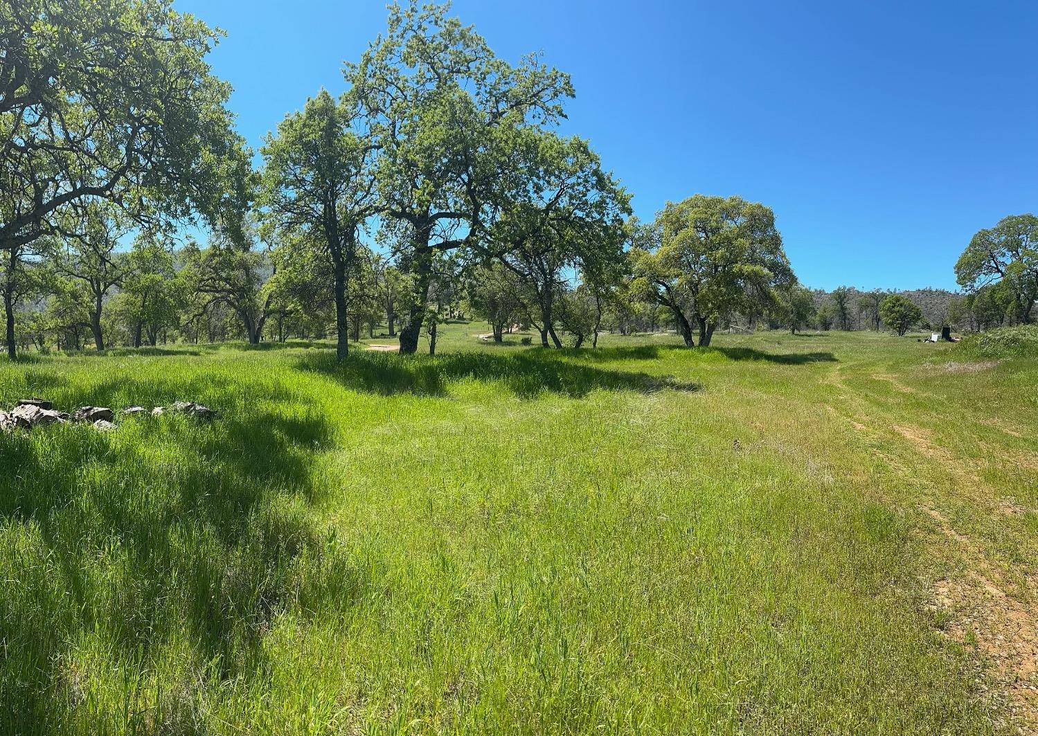 Detail Gallery Image 3 of 9 For 0 Bear Valley Rd, Mariposa,  CA 95338 - – Beds | – Baths