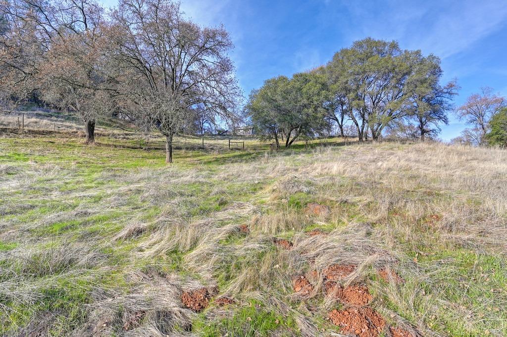 Detail Gallery Image 6 of 88 For 1930 Indian Rock Rd, Cool,  CA 95614 - 3 Beds | 2/1 Baths