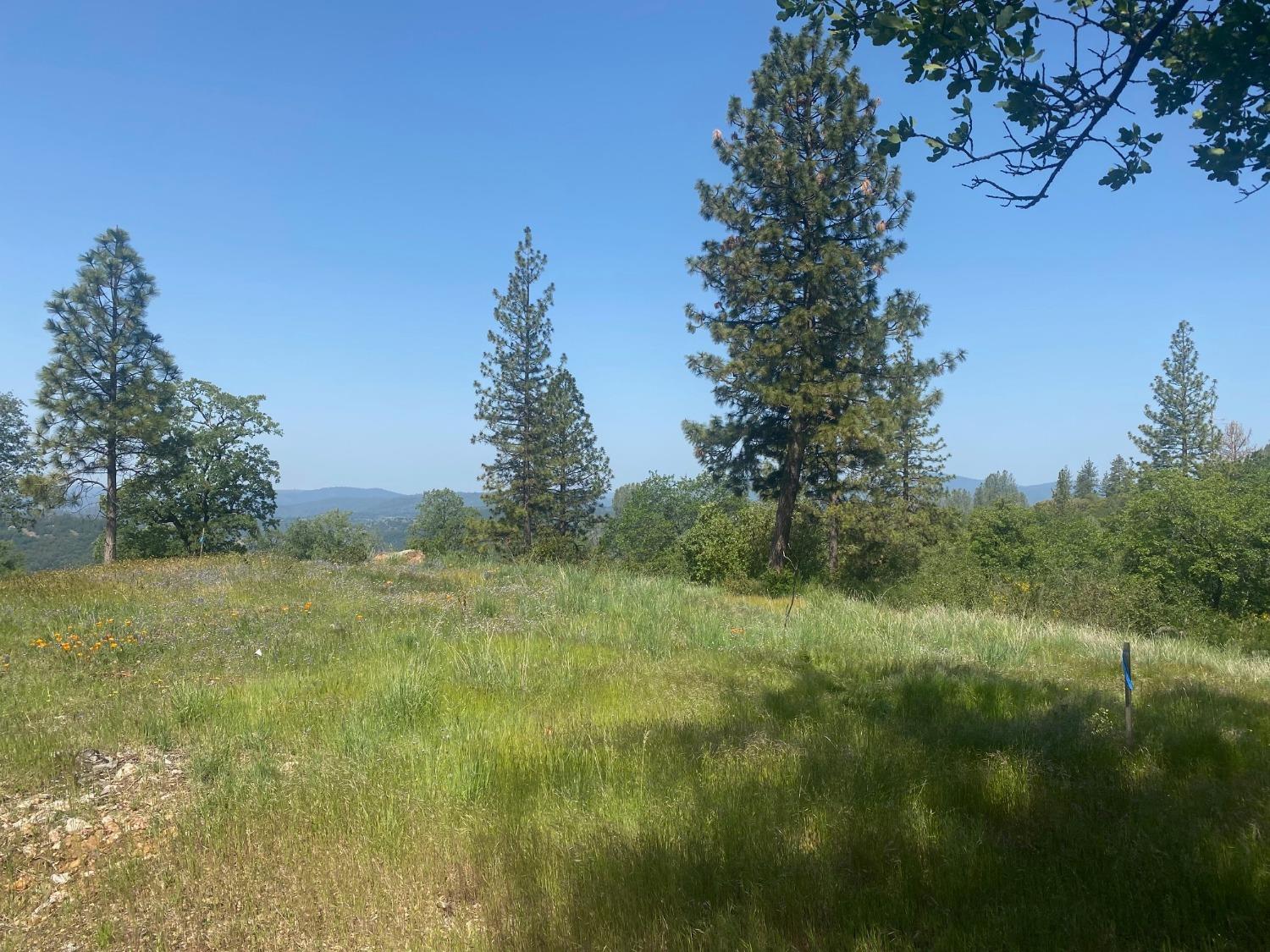 Detail Gallery Image 32 of 43 For 10742 Cedarsong Rd, Nevada City,  CA 95959 - 2 Beds | 1/1 Baths