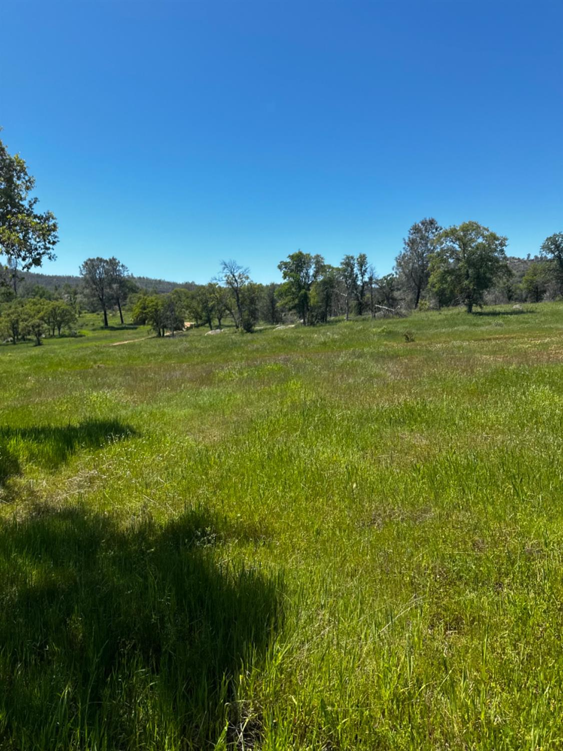 Detail Gallery Image 7 of 9 For 0 Bear Valley Rd, Mariposa,  CA 95338 - – Beds | – Baths