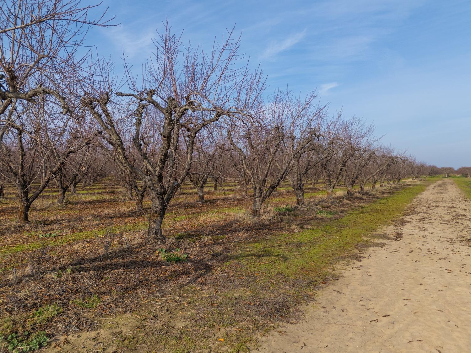 Obanion Road, Yuba City, California image 20