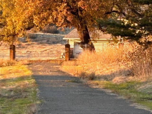 Old Sacramento Road, Plymouth, California image 2