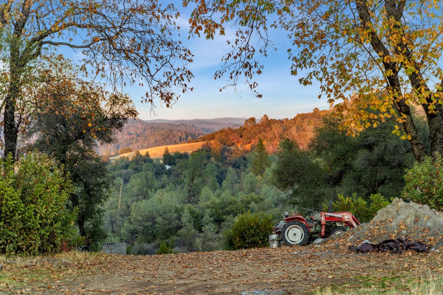 Detail Gallery Image 39 of 53 For 5180 Dream Ranch Cir, Placerville,  CA 95667 - – Beds | – Baths