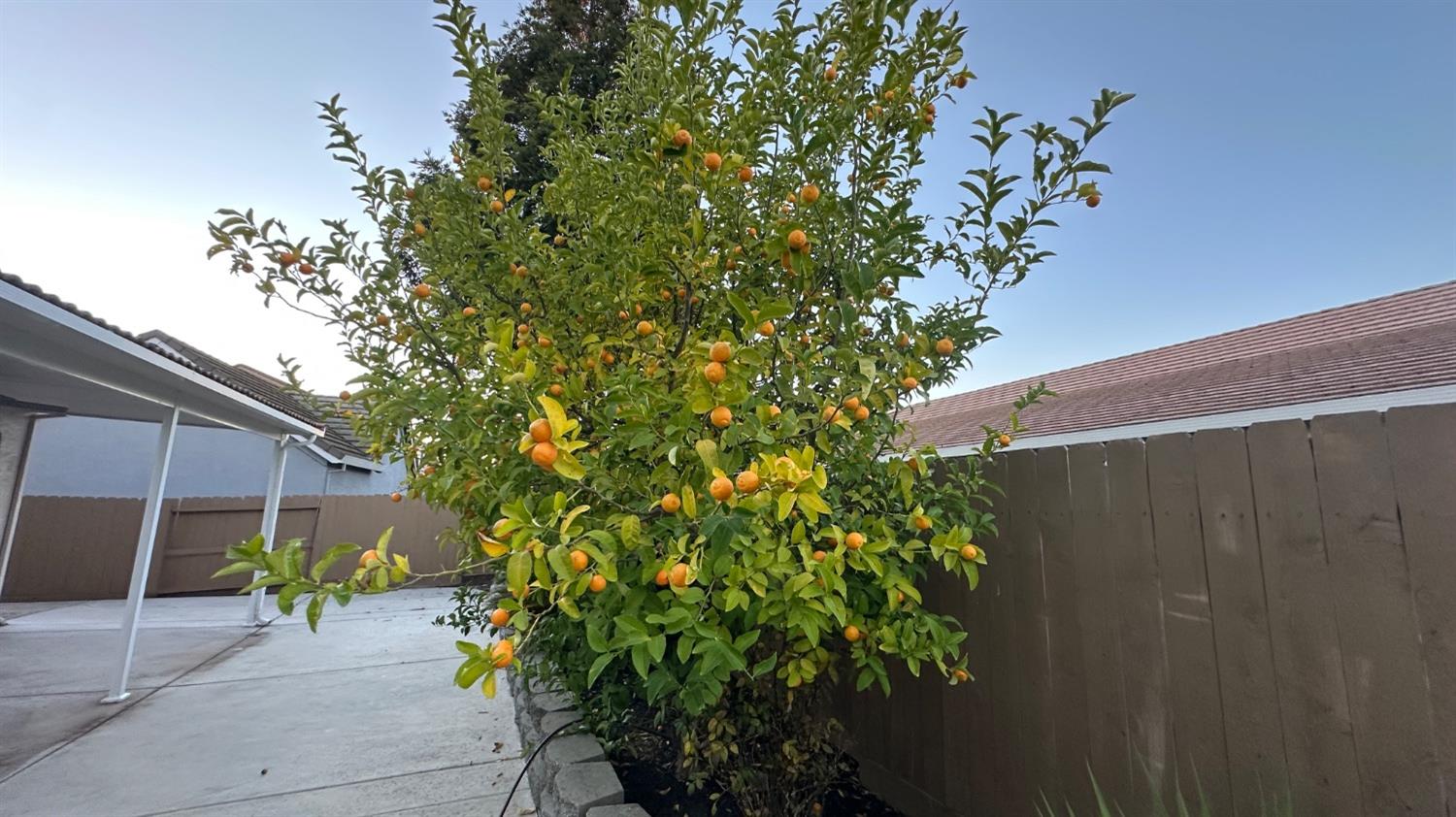 Detail Gallery Image 13 of 15 For 2519 Neutra Way, Elk Grove,  CA 95758 - 5 Beds | 3/1 Baths