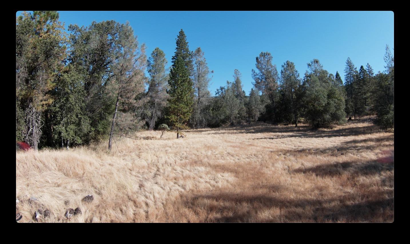 Lake Francis Rd, Dobbins, California image 9