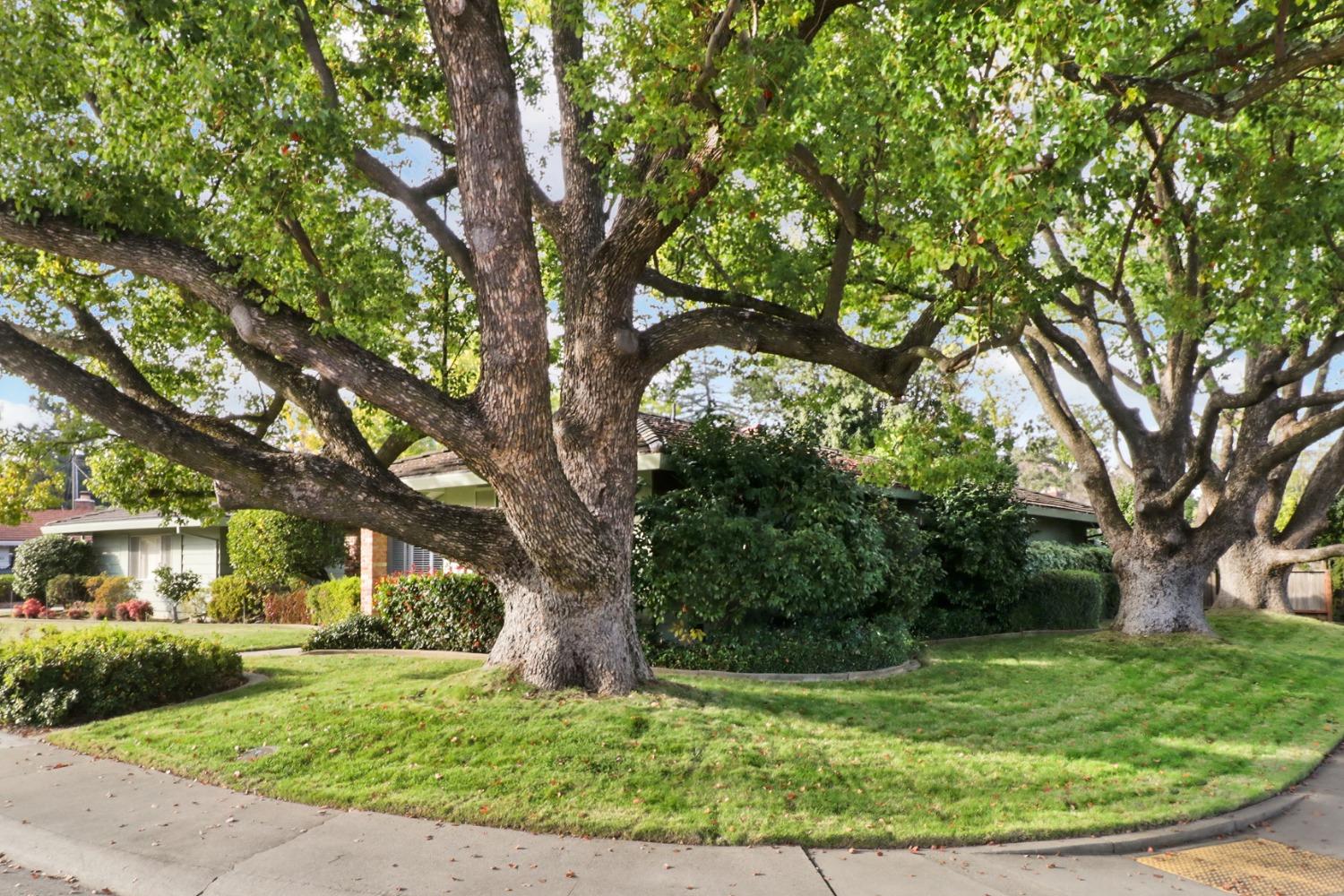 Detail Gallery Image 28 of 46 For 1835 Jay Ct, Carmichael,  CA 95608 - 3 Beds | 2/1 Baths