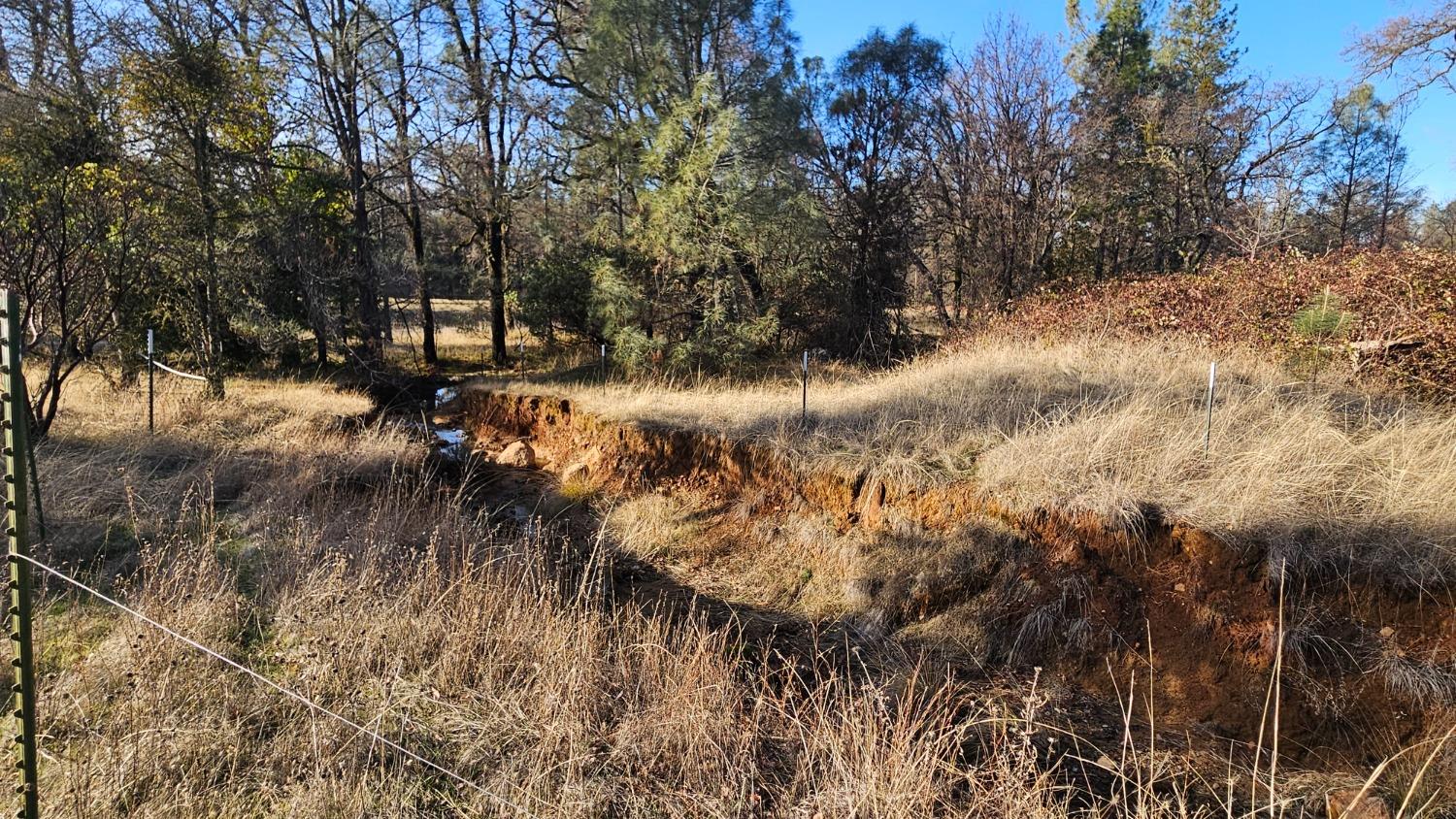 Lake Francis Rd, Dobbins, California image 6