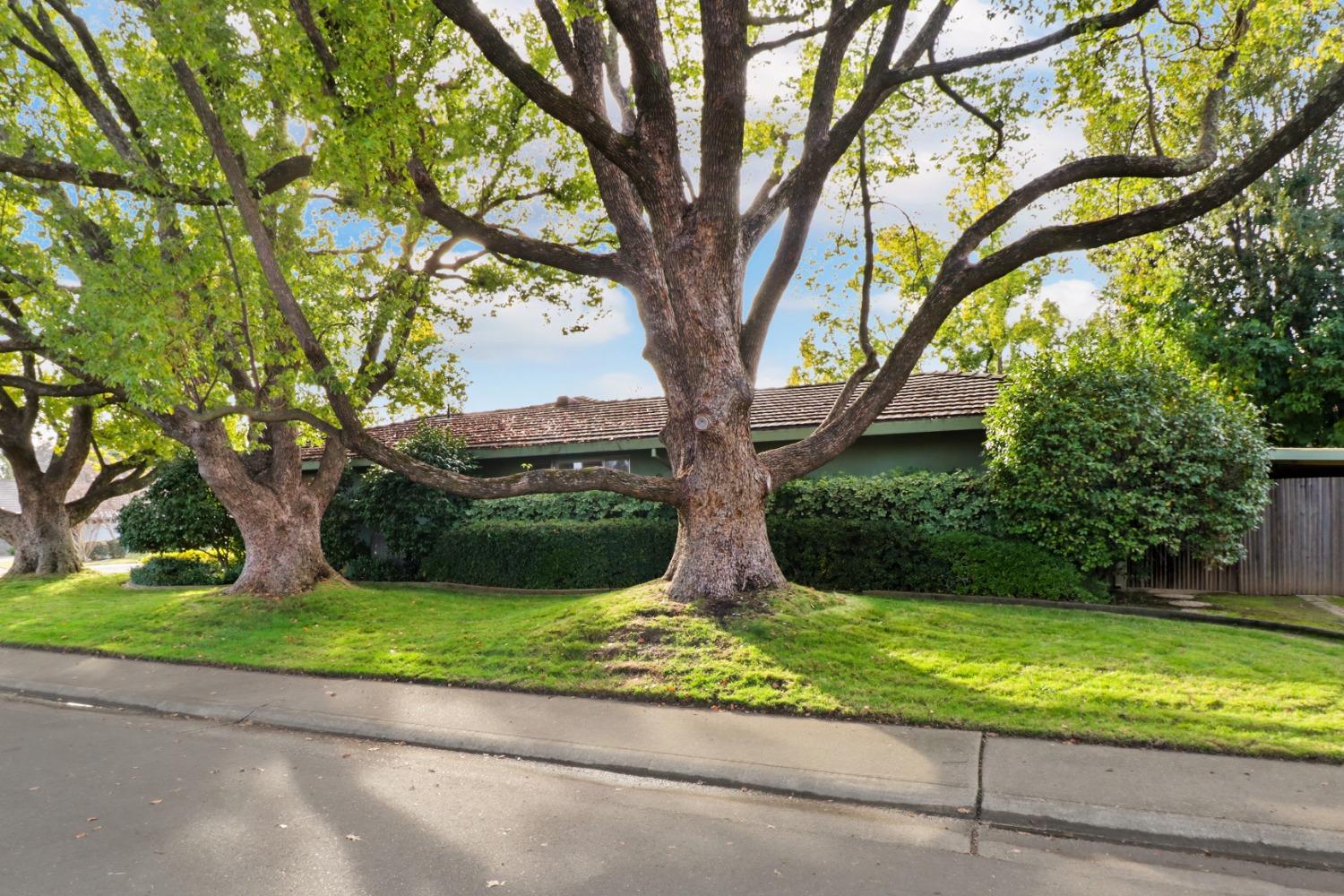 Detail Gallery Image 27 of 46 For 1835 Jay Ct, Carmichael,  CA 95608 - 3 Beds | 2/1 Baths