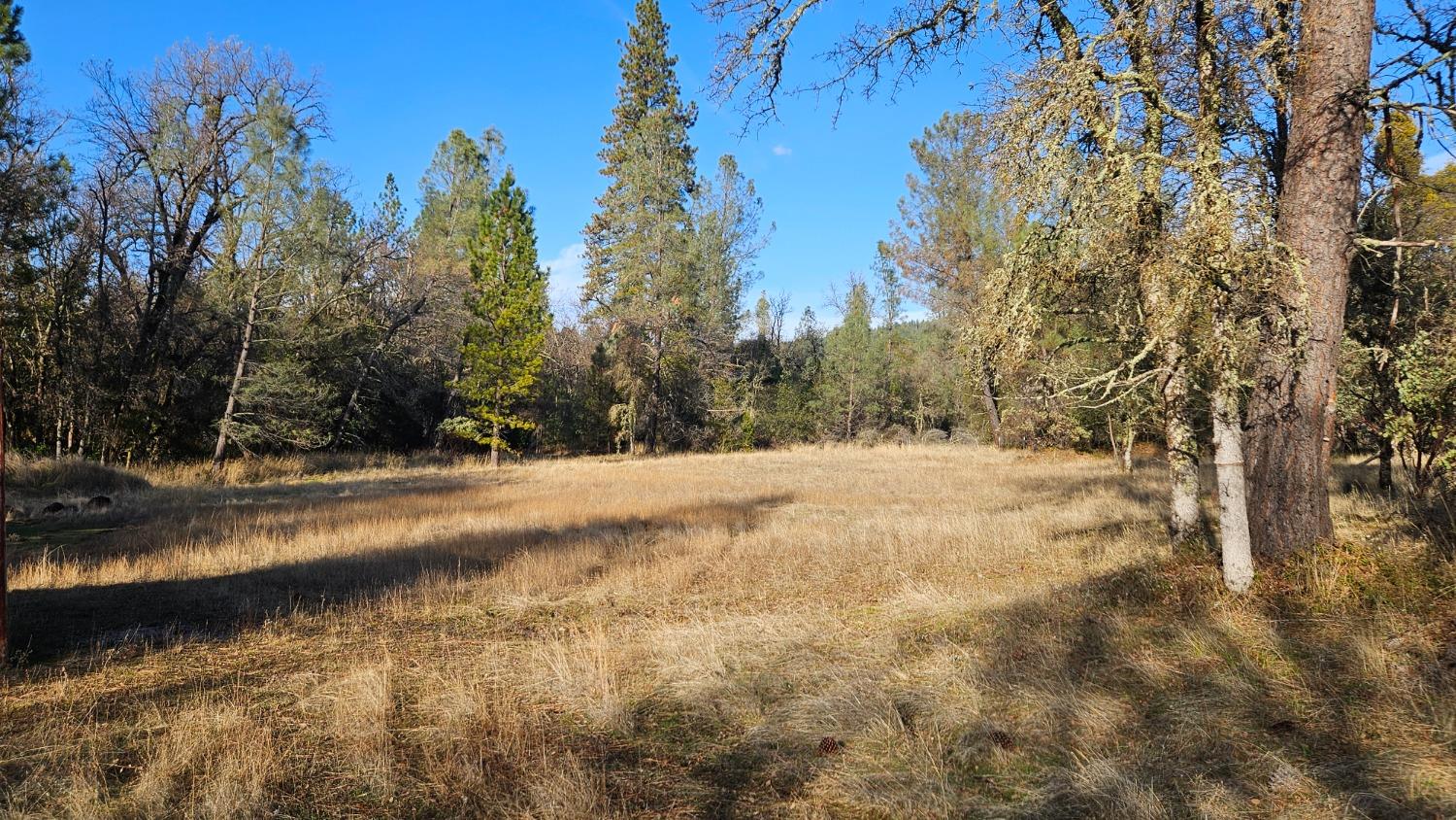 Lake Francis Rd, Dobbins, California image 2