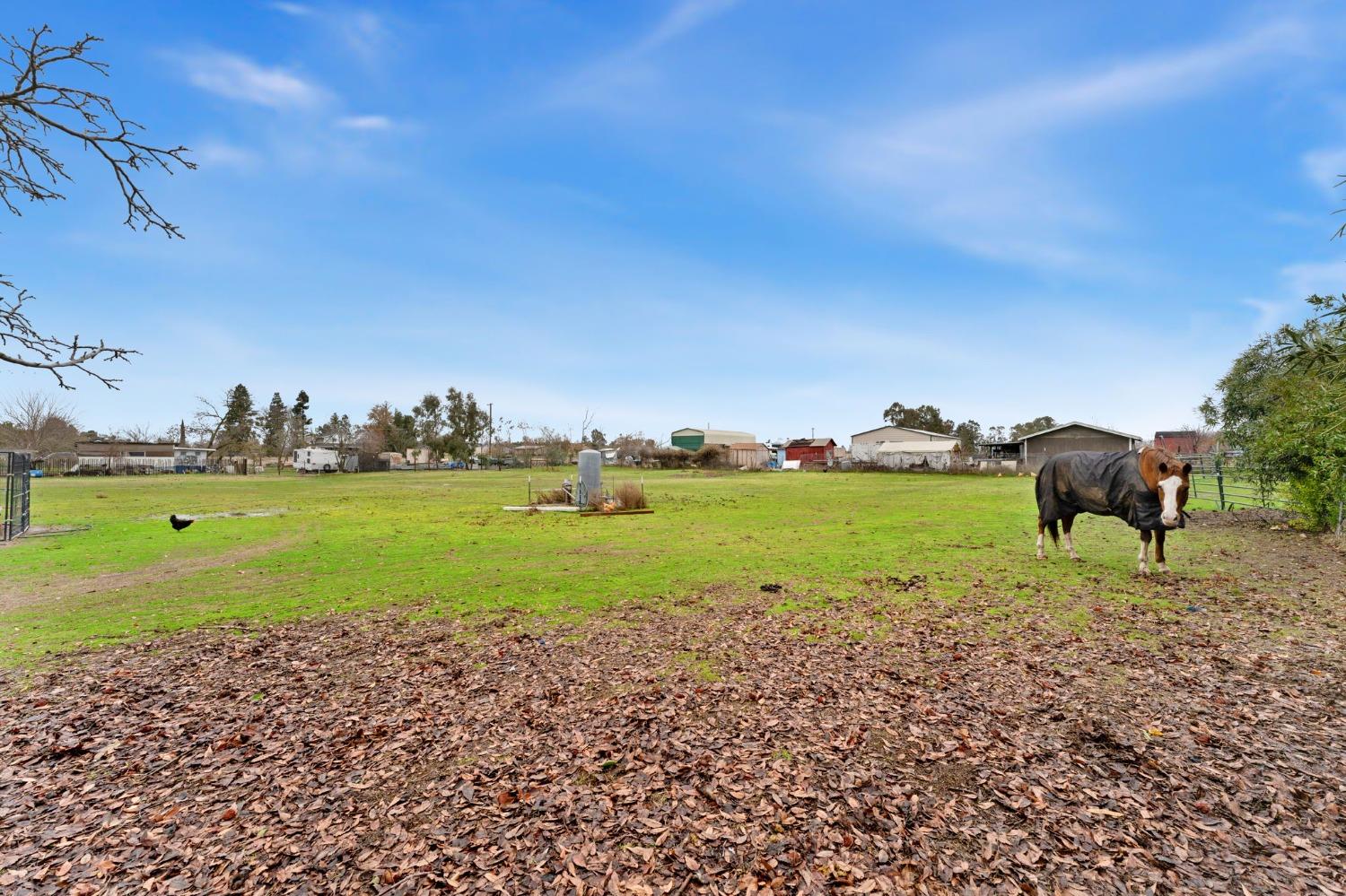 Detail Gallery Image 27 of 41 For 405 Adair St, Elverta,  CA 95626 - 4 Beds | 2 Baths