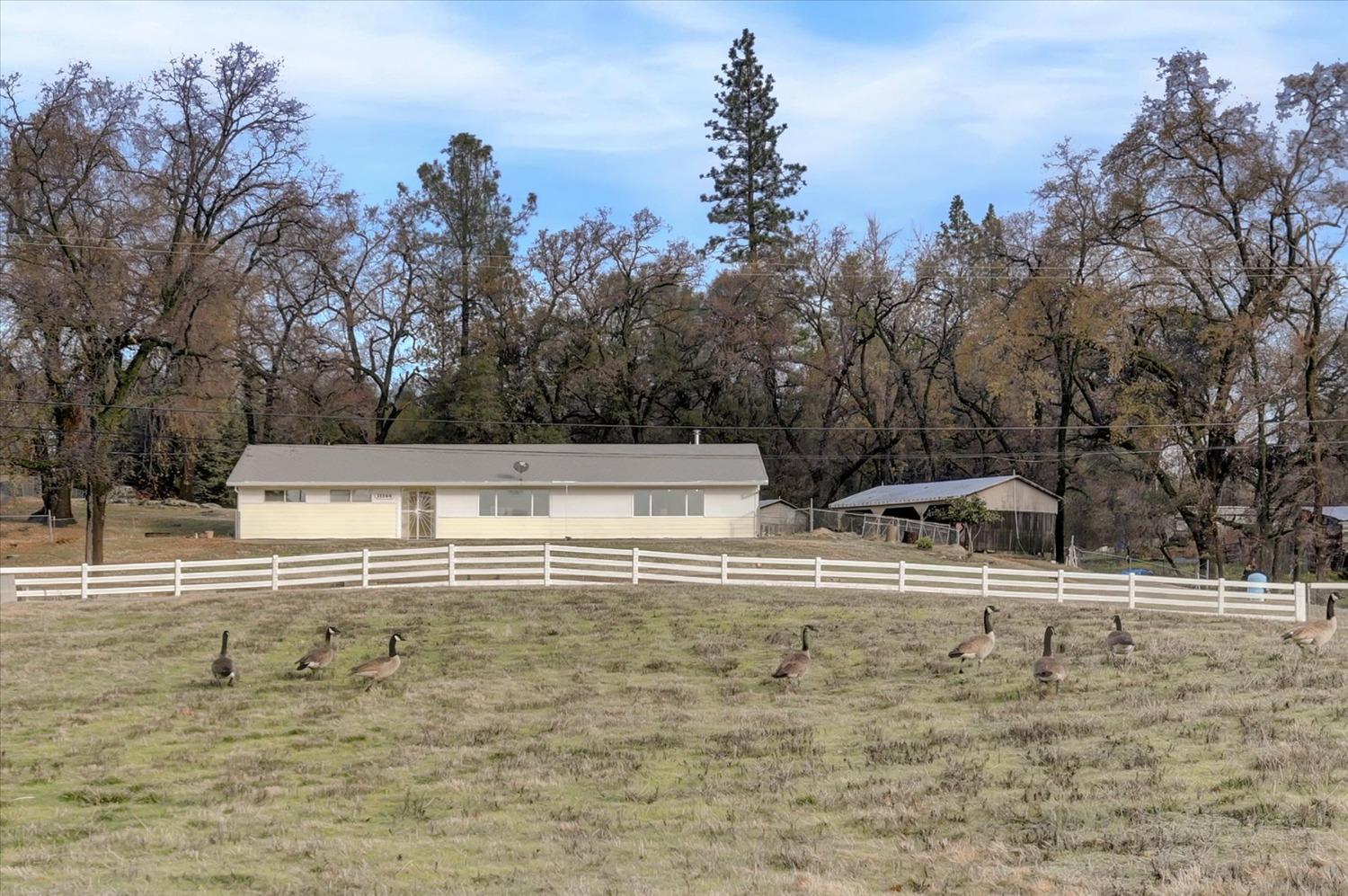 Detail Gallery Image 1 of 65 For 11144 Burkard Ln, Rough And Ready,  CA 95975 - 3 Beds | 2 Baths