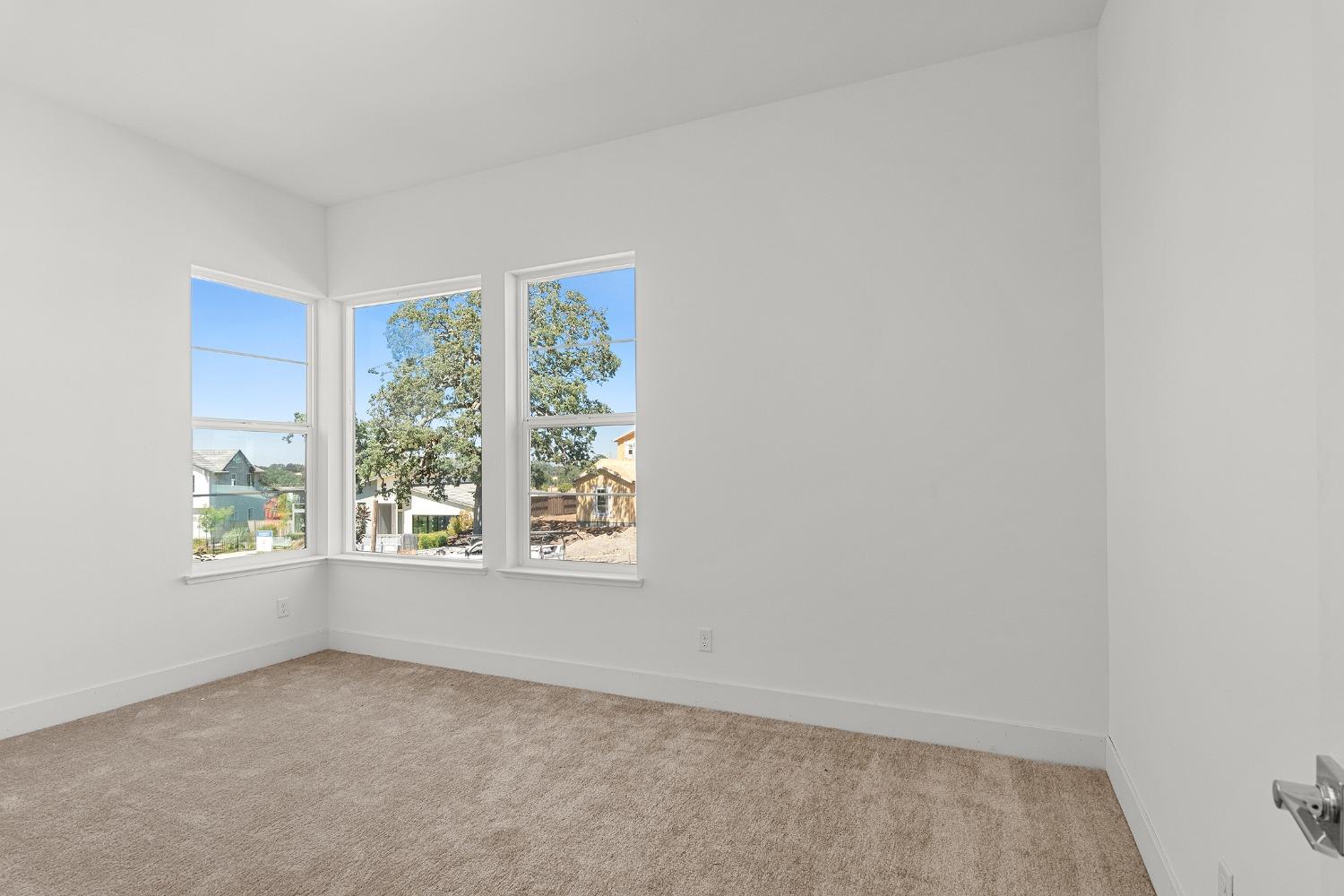 Detail Gallery Image 39 of 53 For 1028 Bridger Dr, Rescue,  CA 95672 - 3 Beds | 2/1 Baths