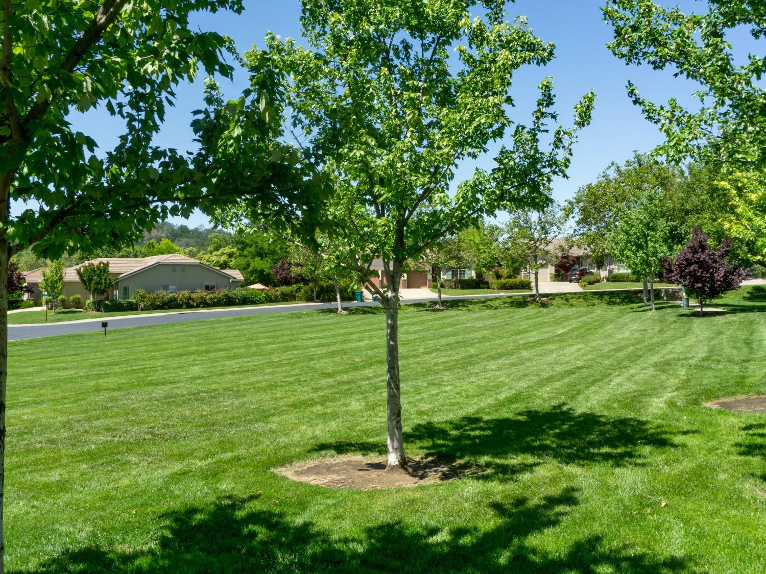 Detail Gallery Image 55 of 58 For 4108 Bayberry Cir, El Dorado Hills,  CA 95762 - 3 Beds | 2 Baths