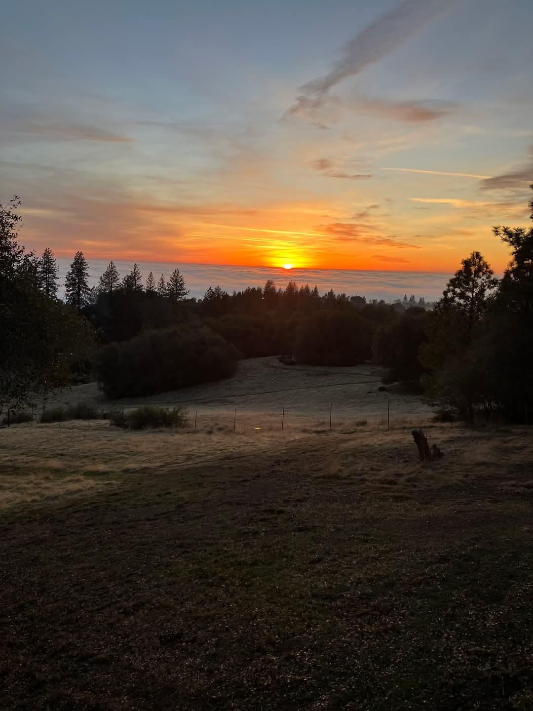 Detail Gallery Image 56 of 59 For 17900 Holly Rd, Fiddletown,  CA 95629 - 3 Beds | 2/1 Baths