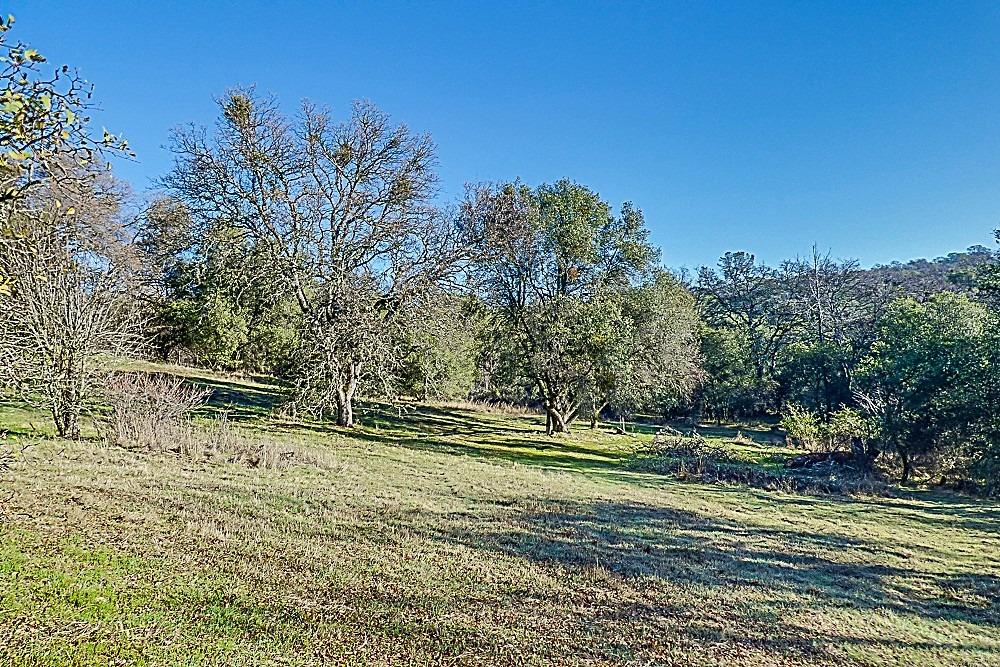 Detail Gallery Image 45 of 57 For 1180 Gold Strike Dr, Placerville,  CA 95667 - 3 Beds | 2 Baths