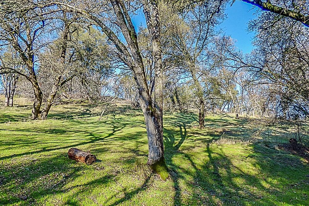 Detail Gallery Image 46 of 57 For 1180 Gold Strike Dr, Placerville,  CA 95667 - 3 Beds | 2 Baths