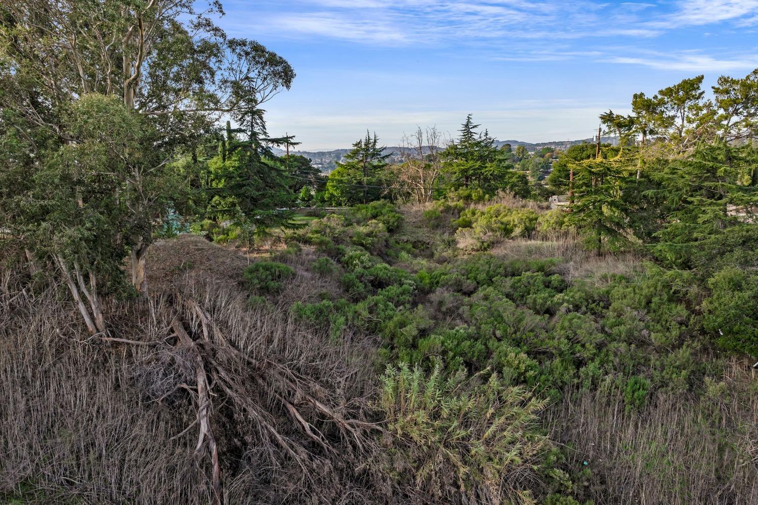 Detail Gallery Image 14 of 41 For 5309 Jensen Rd, Castro Valley,  CA 94552 - – Beds | – Baths