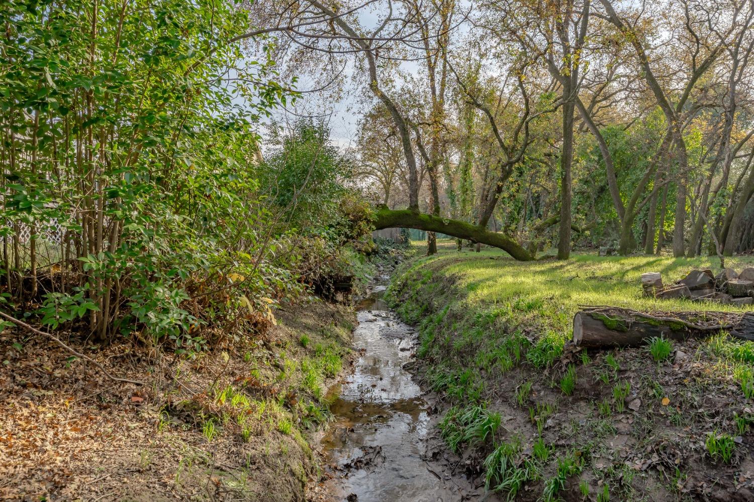 Detail Gallery Image 49 of 51 For 8143 Robert Creek Ct, Citrus Heights,  CA 95610 - 3 Beds | 2 Baths