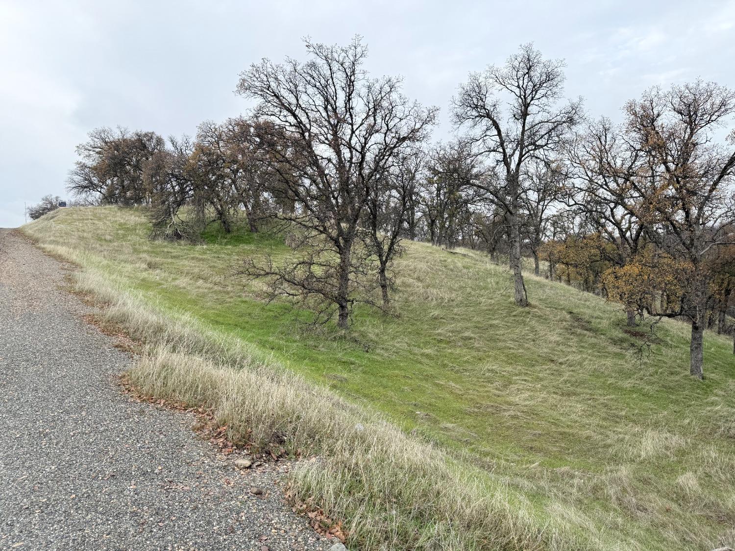 Detail Gallery Image 10 of 15 For 20810 the Oaks Dr, Red Bluff,  CA 96080 - – Beds | – Baths