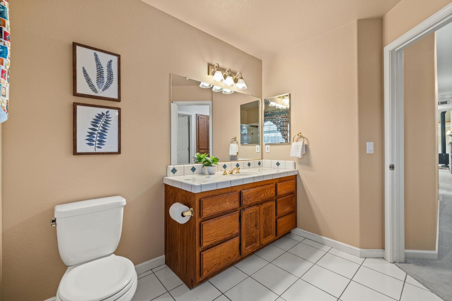 Detail Gallery Image 44 of 65 For 3287 Vista Del Mundo, Camino,  CA 95709 - 4 Beds | 2/2 Baths