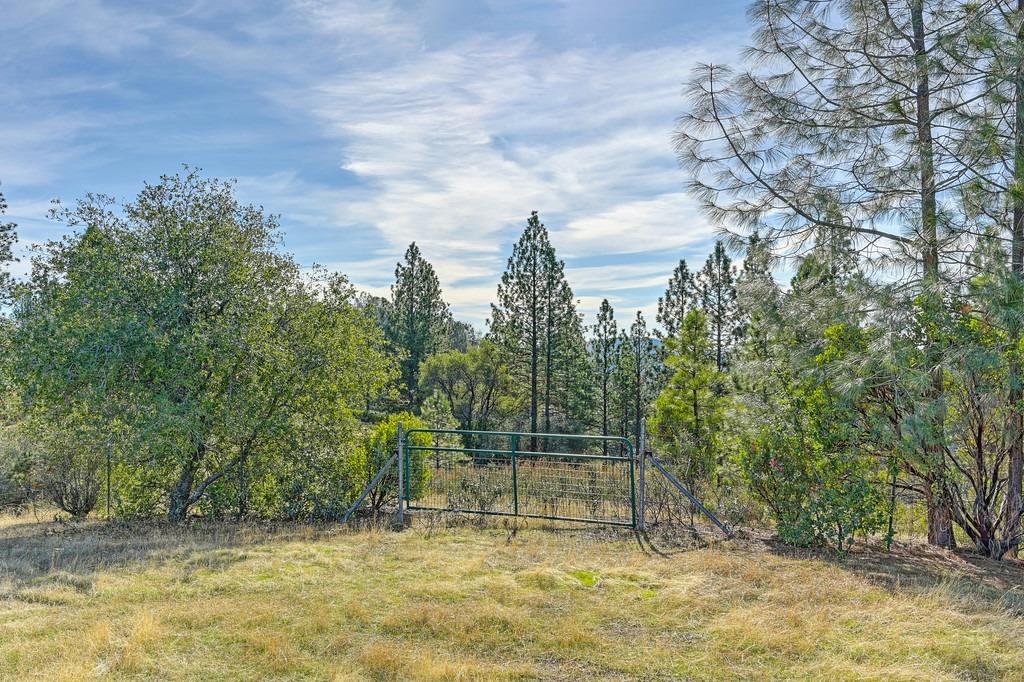 Detail Gallery Image 71 of 79 For 3061 Penobscot Rd, Greenwood,  CA 95635 - 3 Beds | 2 Baths