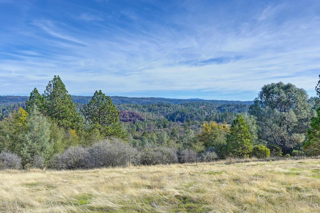 Detail Gallery Image 69 of 79 For 3061 Penobscot Rd, Greenwood,  CA 95635 - 3 Beds | 2 Baths