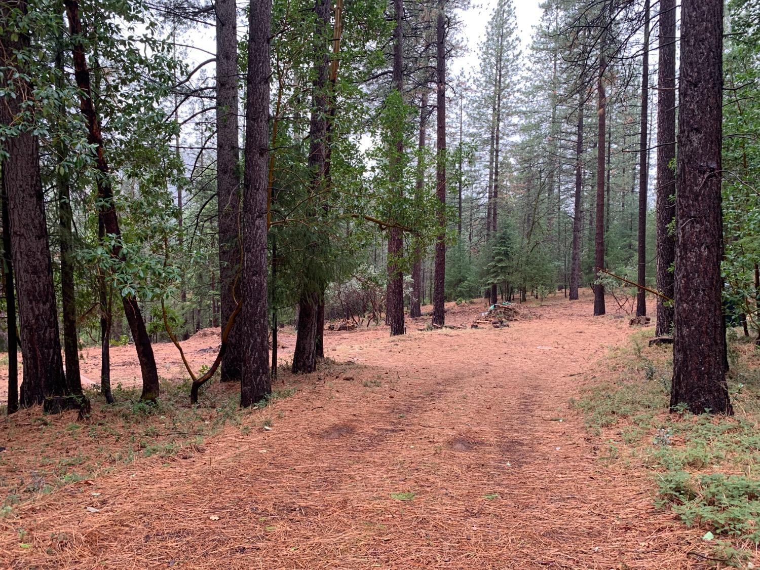 Detail Gallery Image 2 of 7 For 16094 Countrywood Ln, Nevada City,  CA 95959 - – Beds | – Baths