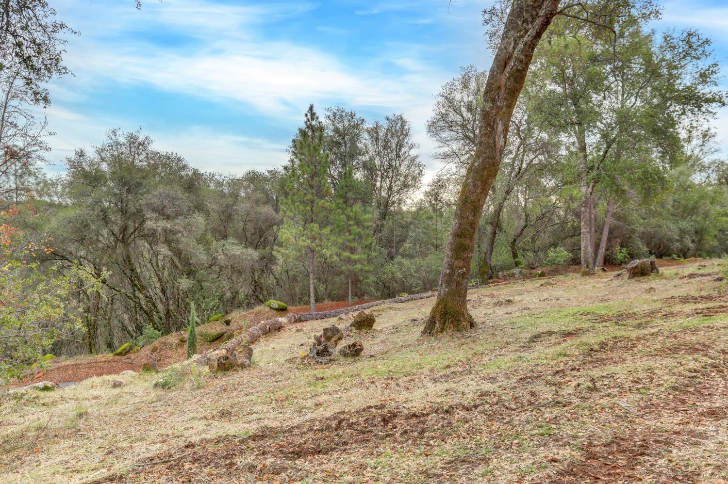 Detail Gallery Image 91 of 99 For 17670 Red Ball Cir, Grass Valley,  CA 95949 - 3 Beds | 2 Baths