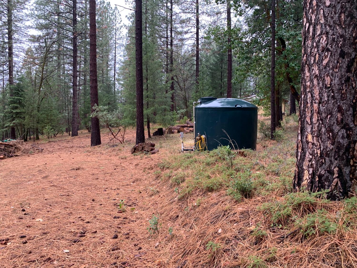 Detail Gallery Image 3 of 7 For 16094 Countrywood Ln, Nevada City,  CA 95959 - – Beds | – Baths