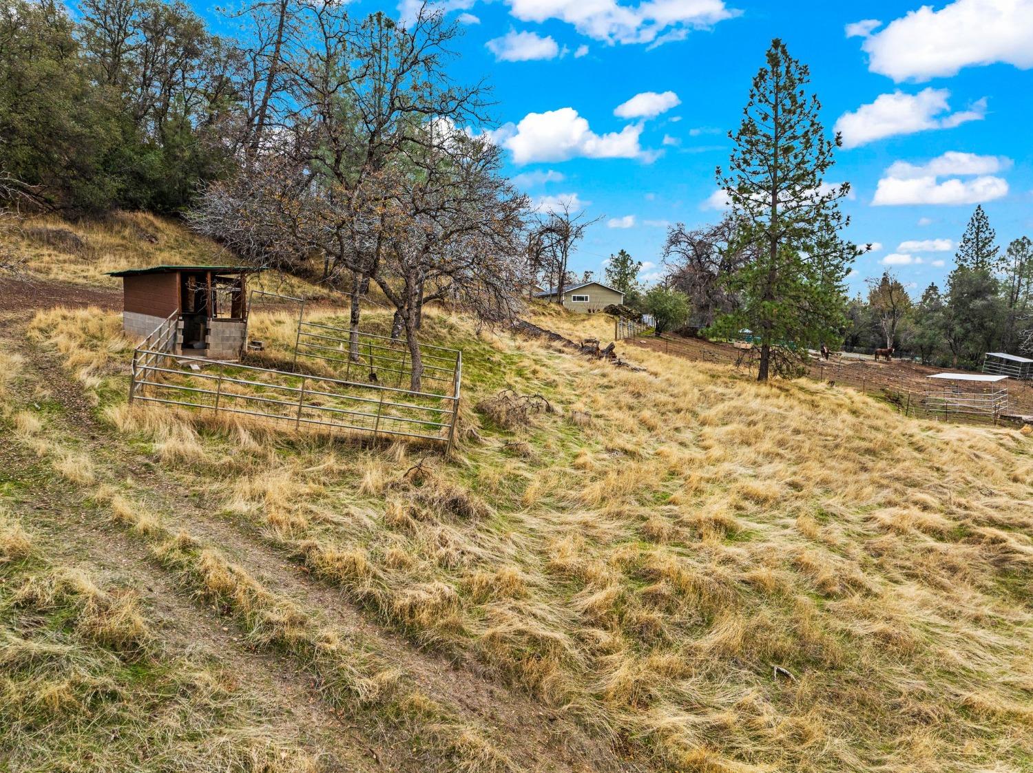 Detail Gallery Image 69 of 73 For 5060 Cedar Ravine Ct, Placerville,  CA 95667 - 4 Beds | 3/1 Baths