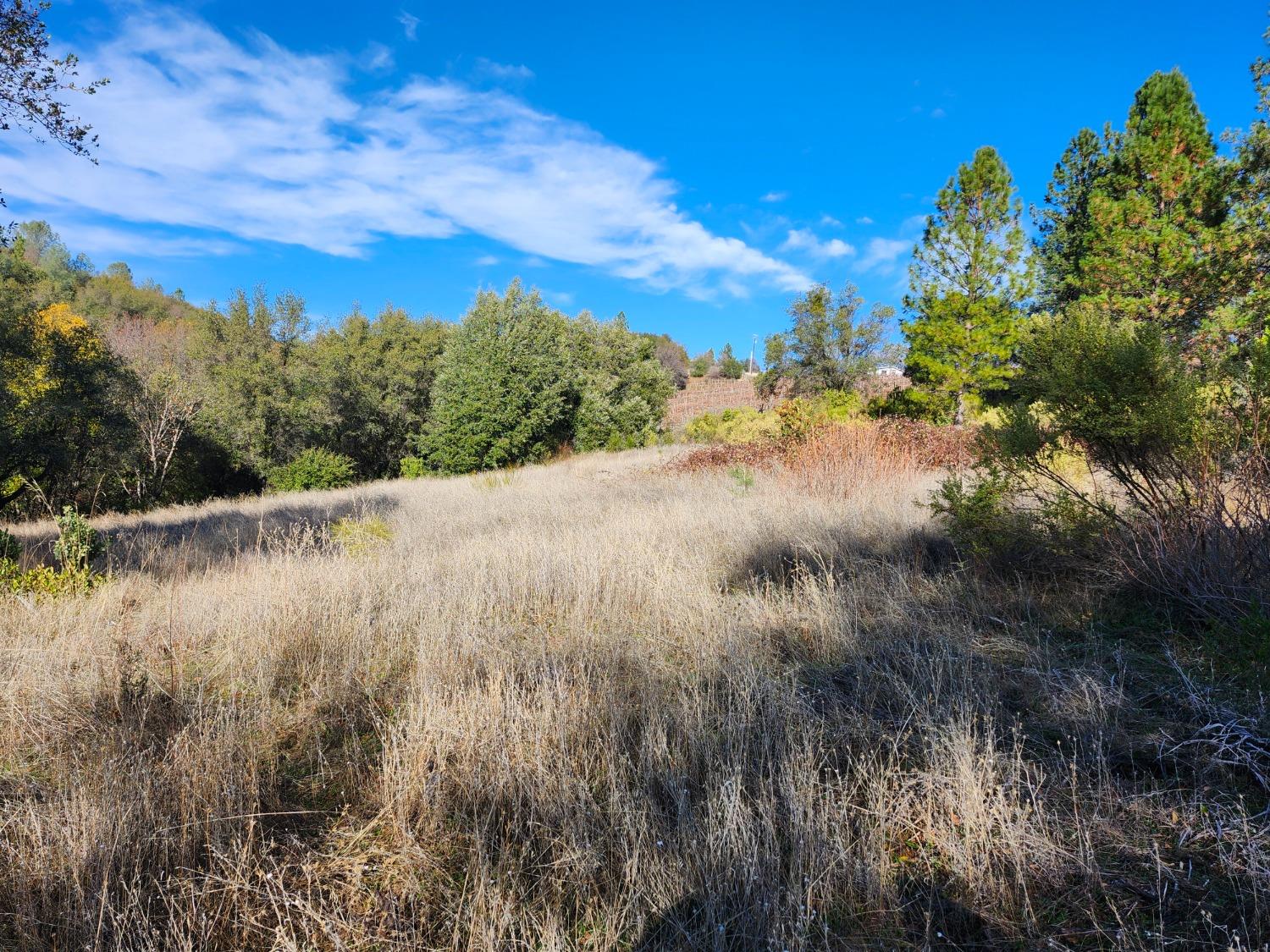 Detail Gallery Image 14 of 20 For 3000 Gravel Ct, Placerville,  CA 95667 - – Beds | – Baths