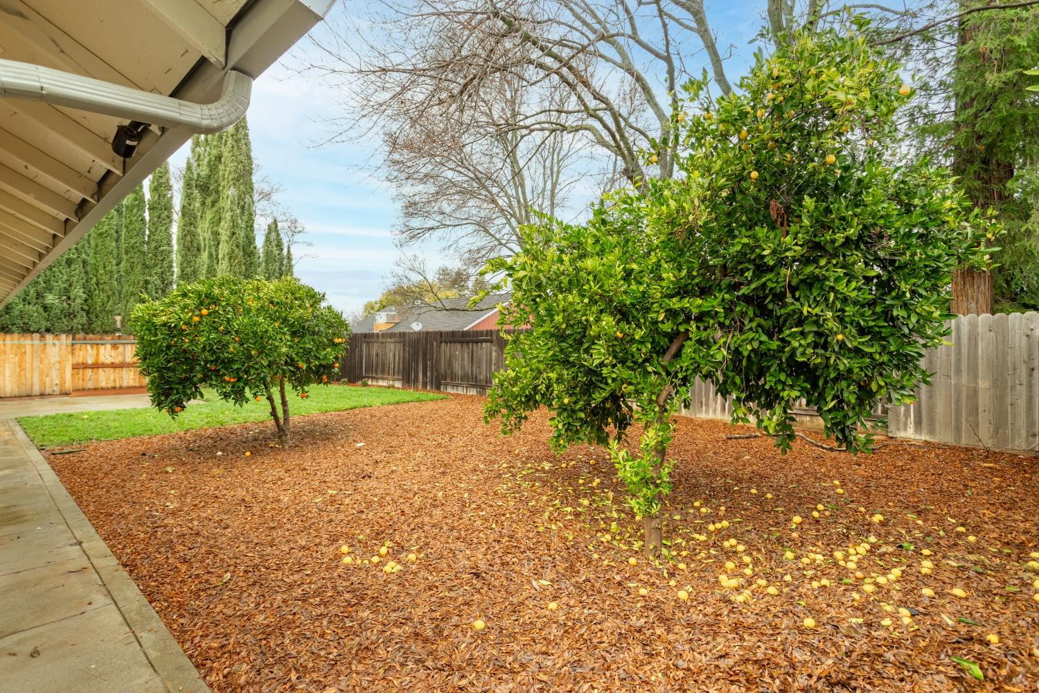 Detail Gallery Image 39 of 39 For 113 Almeria, Winters,  CA 95694 - 4 Beds | 2 Baths