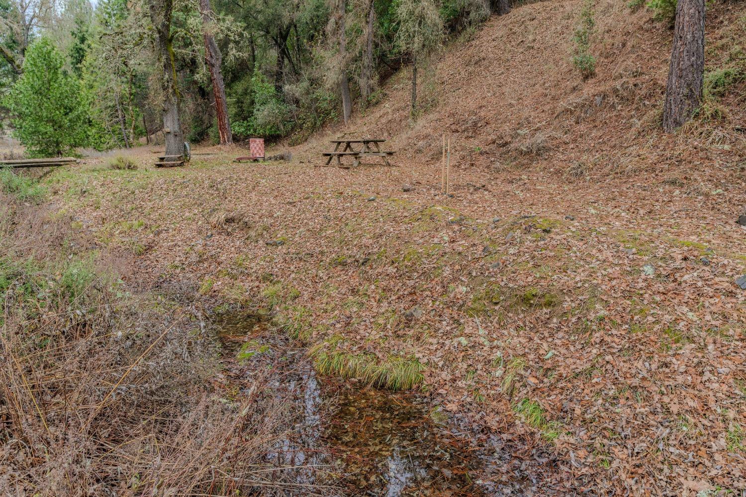 Detail Gallery Image 47 of 47 For 16420 Clapboard Rd, Volcano,  CA 95689 - 2 Beds | 4 Baths