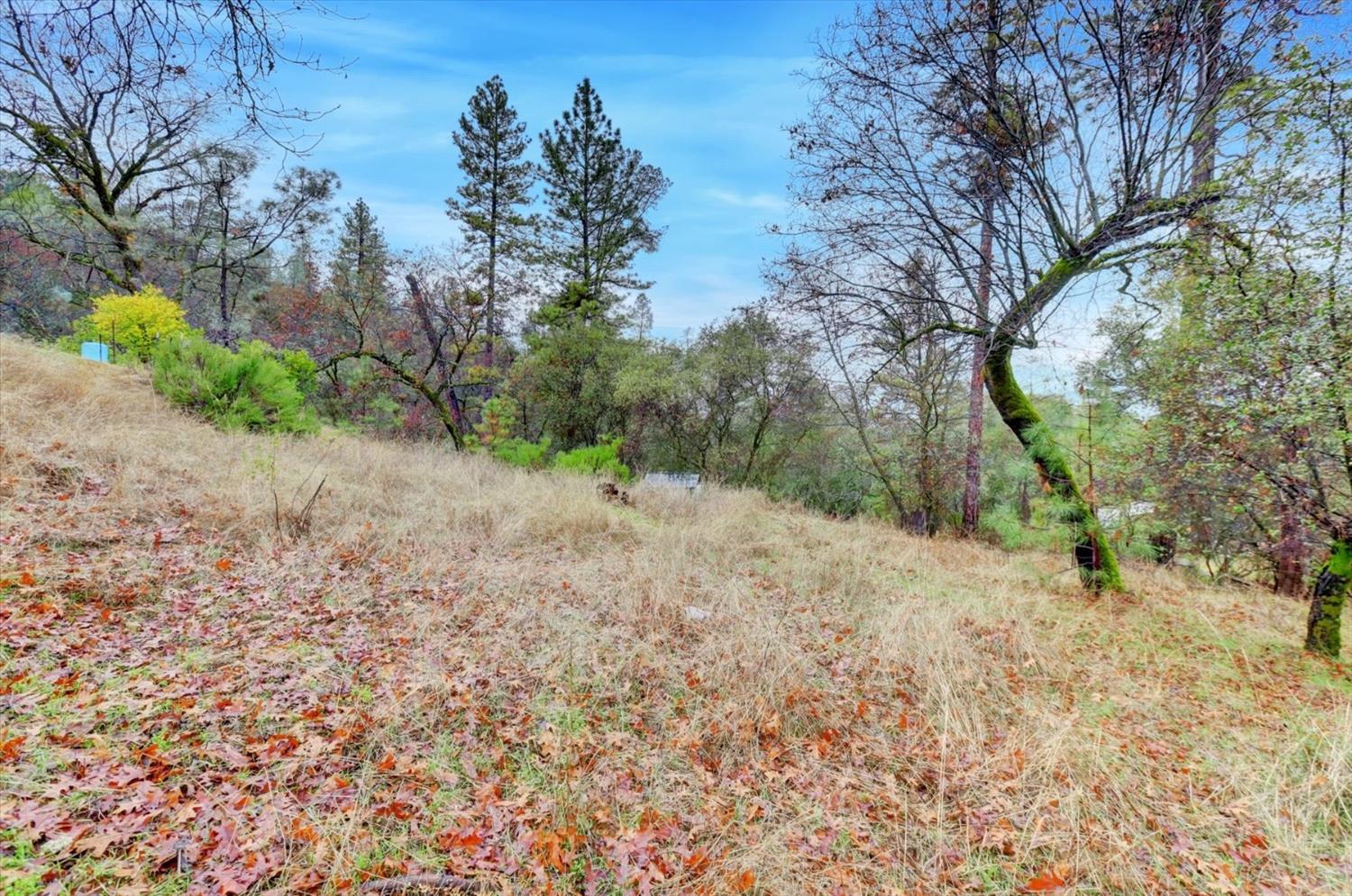 Detail Gallery Image 35 of 98 For 22302 Iron Horse Dr, Grass Valley,  CA 95949 - 3 Beds | 2 Baths