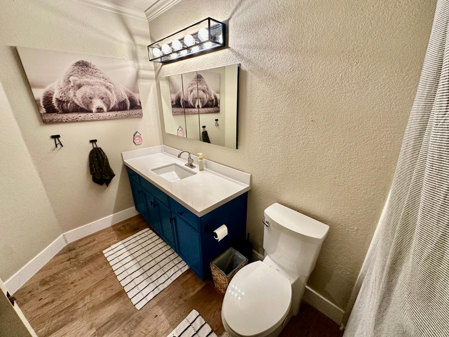 Detail Gallery Image 19 of 55 For 575 Grindstone St, Woodbridge,  CA 95258 - 3 Beds | 2/1 Baths