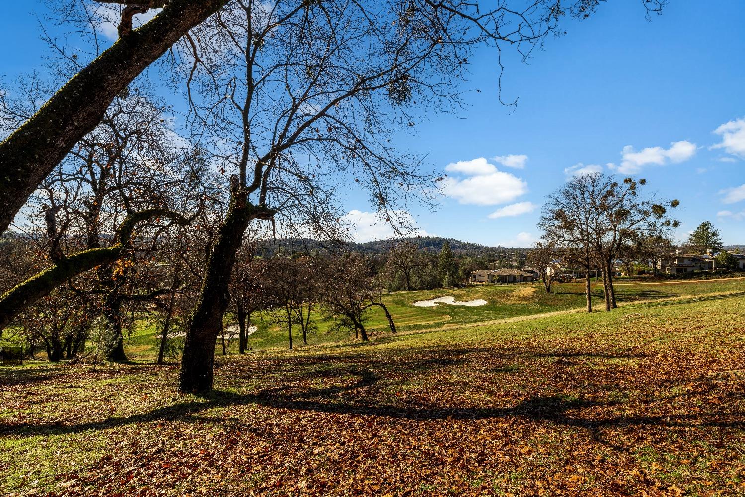 Detail Gallery Image 6 of 16 For 23838 Darkhorse Dr, Auburn,  CA 95602 - – Beds | – Baths