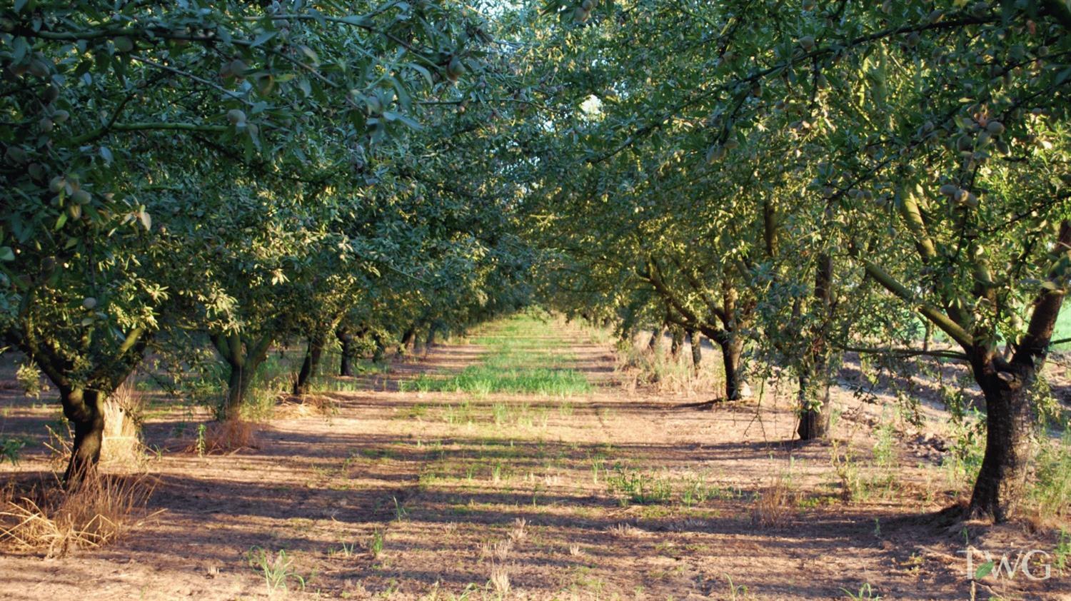 Muncy Road, Modesto, California image 7