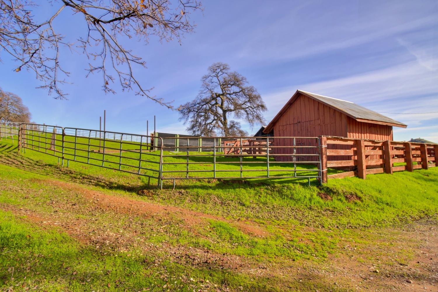 Detail Gallery Image 51 of 85 For 17000 Greilich Rd, Plymouth,  CA 95669 - 5 Beds | 3 Baths