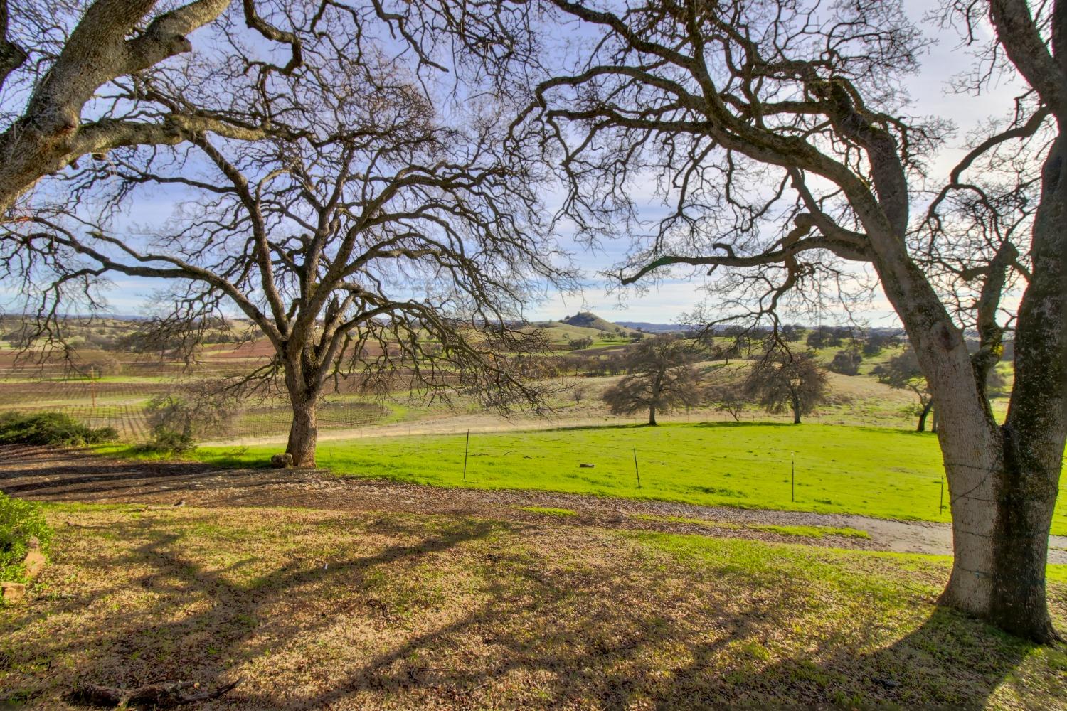 Detail Gallery Image 43 of 85 For 17000 Greilich Rd, Plymouth,  CA 95669 - 5 Beds | 3 Baths